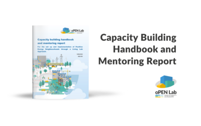 Capacity Building Handbook and Mentoring Report